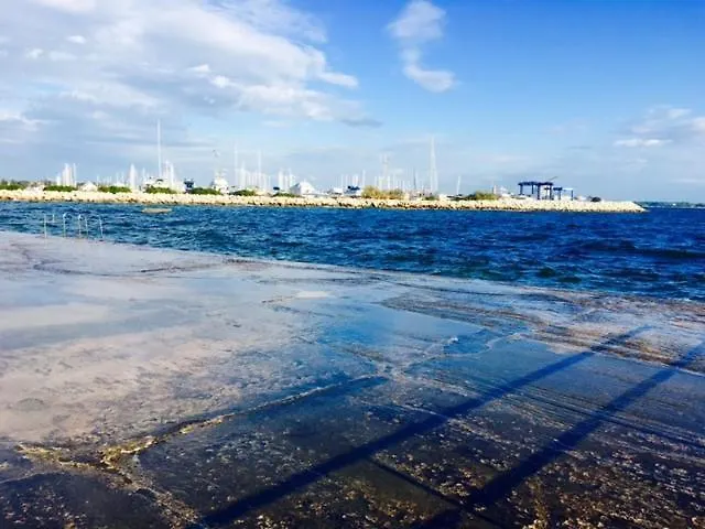 Nelly * Umag